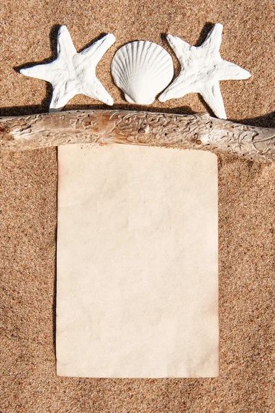 Notatbok, tørr gren og skjell av papir på sanden – stockfoto