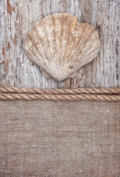 Fondo grunge con concha grande, cuerda sobre tela de saco — Foto de Stock