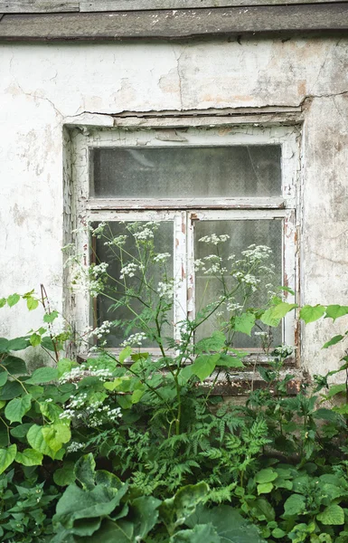 Altes Holzfenster am alten Haus — Stockfoto