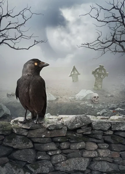 Mystischer Hintergrund zu Halloween mit Rabe an der Steinmauer — Stockfoto