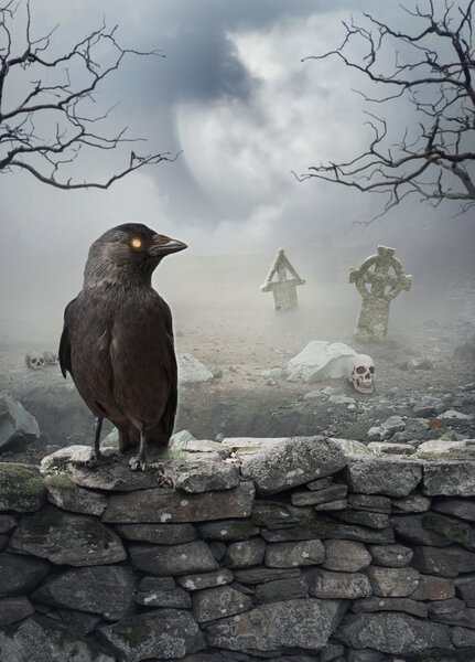 Halloween mystical background with raven on the stone wall