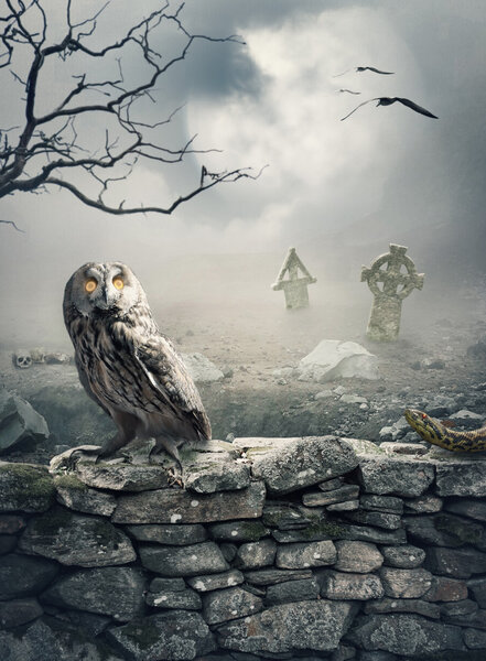 Halloween mystical background with owl on the stone wall