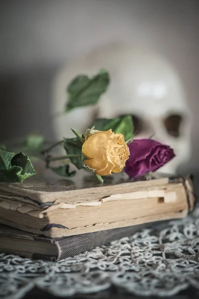 Nature Morte Rétro Avec Roses Sèches Crâne Sur Vieux Livre — Photo