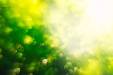 Sunlight ile soyut bulanık yaz arkaplanı