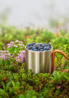 Dışarıdaki demir bardakta taze yaban mersini var. Seyahat turizmi yürüyüş kavramı 