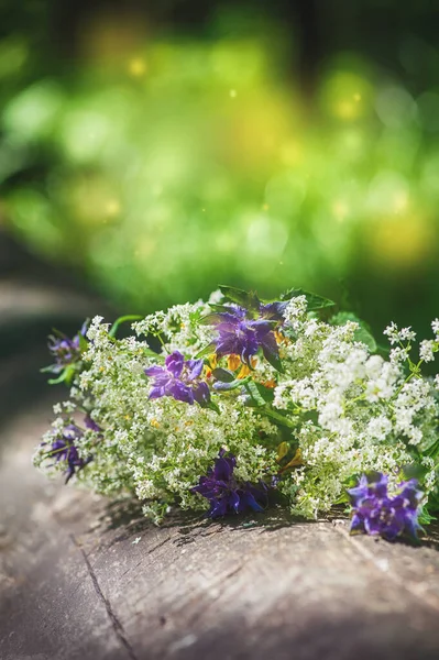 Bulanık Yeşil Renkte Güzel Yaz Çiçekleri — Stok fotoğraf