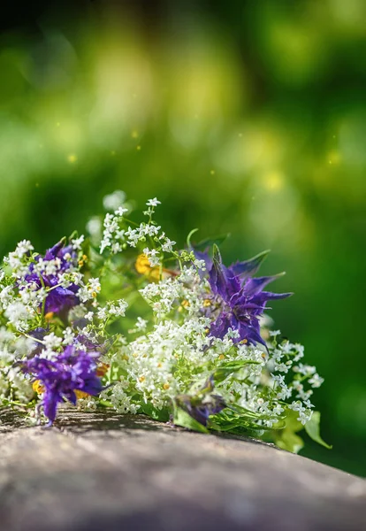 Vackra Sommarblommor Suddig Naturlig Grön Backgroun — Stockfoto