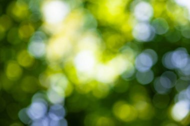 Soyut bulanık güneş ışığıyla aydınlık yaz arkaplanı