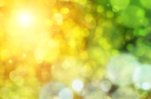 Primavera Abstrato Verde Amarelo Fundo Com Bokeh Luz Solar — Fotografia de Stock
