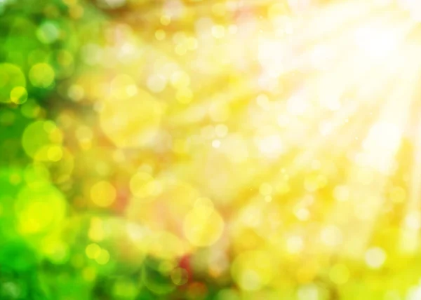 夏季绿色和黄色背景 有防晒霜和阳光 — 图库照片