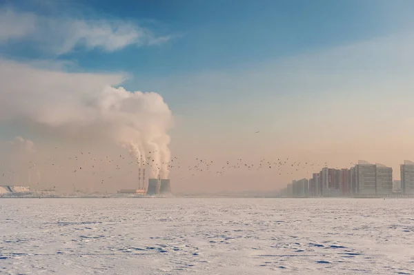 工場や空飛ぶ鳥の煙冬の都市風景 — ストック写真