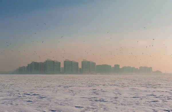 Invierno Congelado Paisaje Ciudad Con Bandada Voladora Aves —  Fotos de Stock