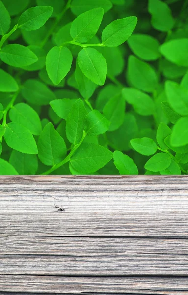 Leerer rustikaler Holztisch mit Blätterhintergrund — Stockfoto