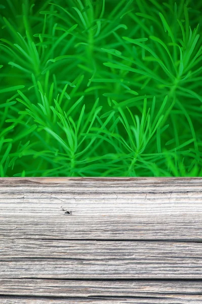 草の背景を持つ空の素朴な木製のテーブル — ストック写真