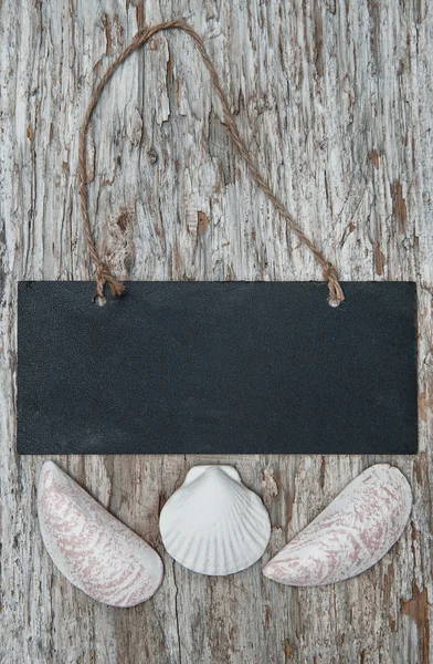 Chalkboard with seashells on the old wood — Stock Photo, Image