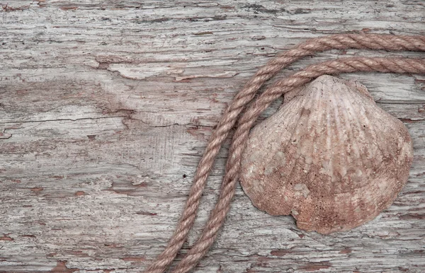 Seashell and rope on the old wooden background — Stock Photo, Image