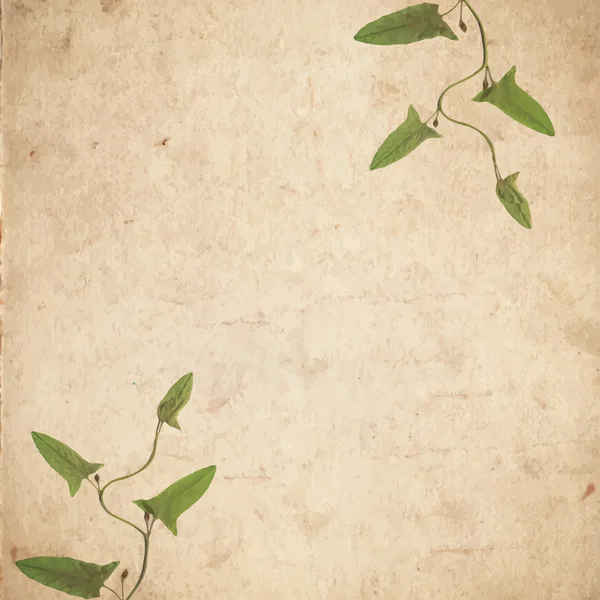 Vieille texture de papier vintage avec des feuilles d'herbe sèche verte — Image vectorielle