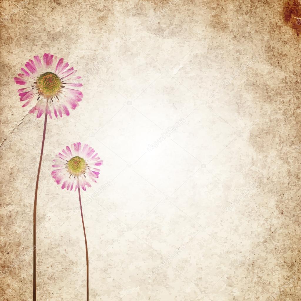 Old vintage paper texture background with dry flowers