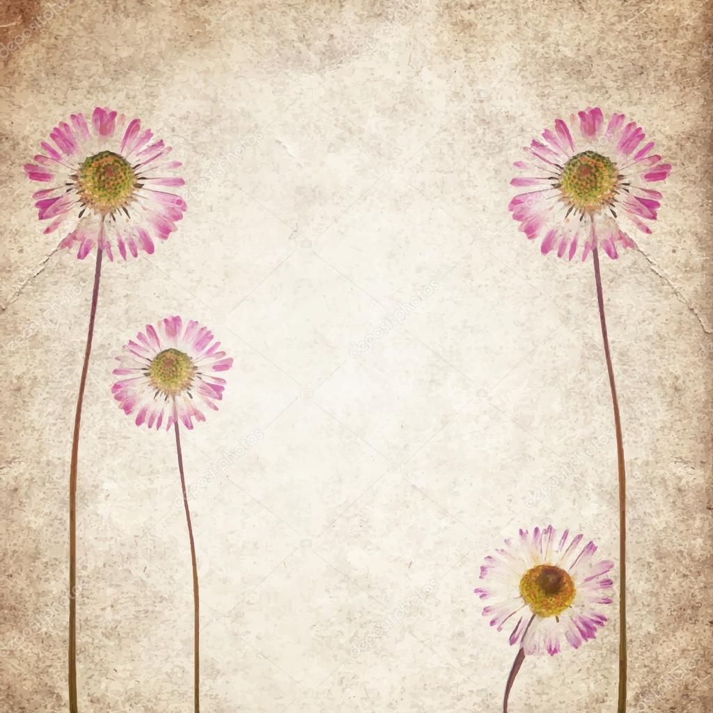 Old vintage paper texture background with dry flowers