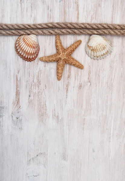 Cáscaras de mar y cuerda en la madera vieja. Fondo marino —  Fotos de Stock