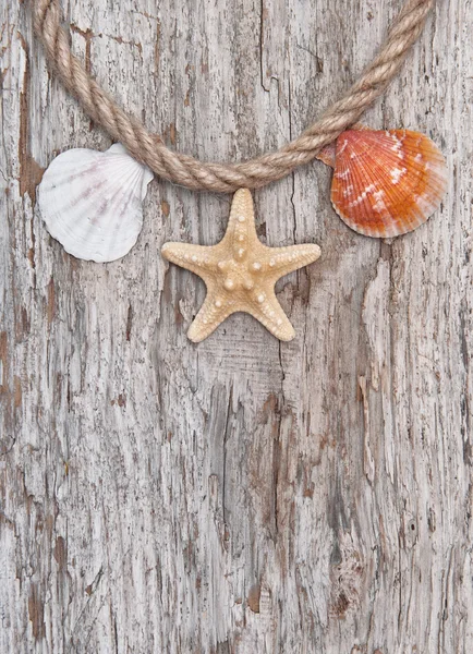 Seashells and rope on the old  wood. Marine background — Stock Photo, Image