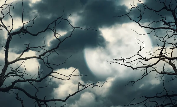 Halloween Hintergrund mit Wald, Himmel und Mond — Stockfoto