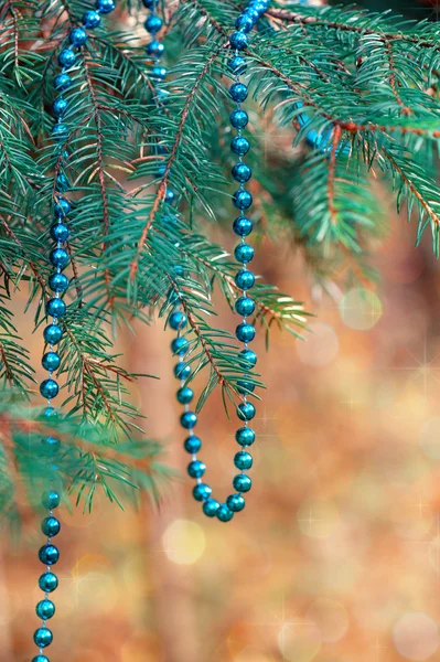 モミの枝とのクリスマスの装飾 — ストック写真