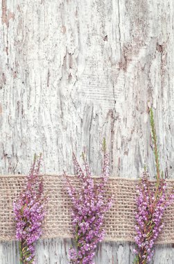 Heather eski ahşap zemin üzerinde