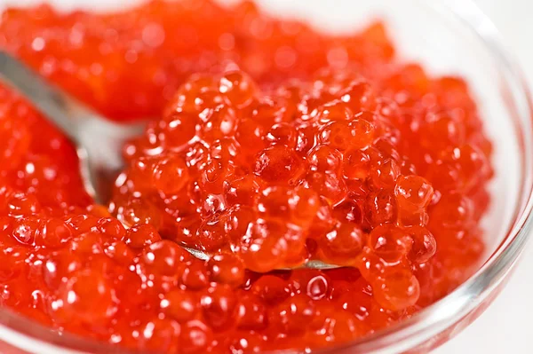 Vista de cerca del caviar rojo — Foto de Stock