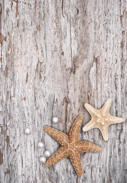 Grunge background with seashells and pearls on the old wood — Stock Photo, Image