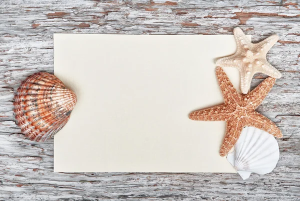 Fondo grunge con conchas marinas, papel y perlas — Foto de Stock