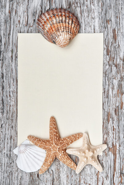 Grunge background with seashells, paper and pearls 