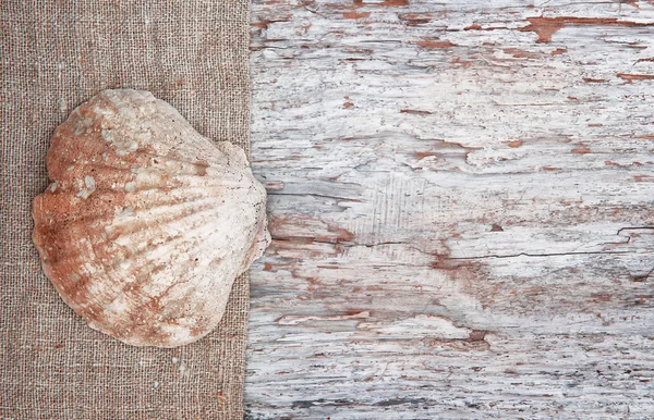 Grunge bakgrund med seashell på säckväv — Stockfoto