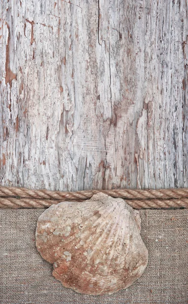 Fondo grunge con concha marina, cuerda sobre tela de saco — Foto de Stock