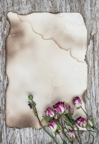 Trockene Rosen auf altem Papier und Holzgrund — Stockfoto