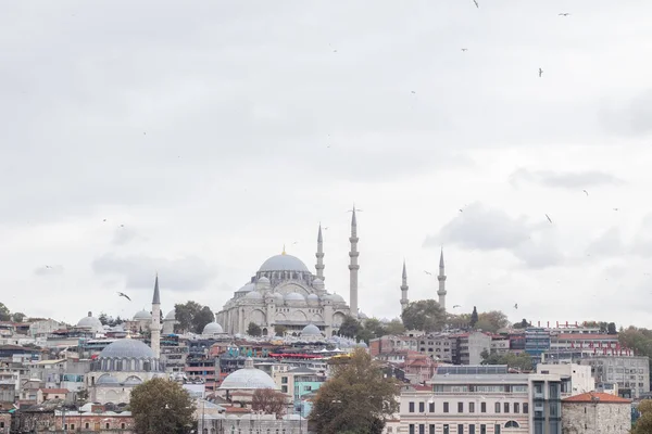 Vue Paysage Urbain Istanbul Baie Corne Mosquée Mouettes Ferries Concentration — Photo