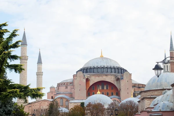 View of the Hagia Sophia mosque with minarets. The main Sight of Istanbul in Turkey Royalty Free Stock Images