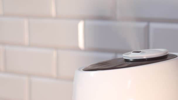 Vapor del humidificador ultrasónico para el hogar. vapor de agua — Vídeos de Stock