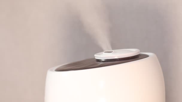 Water mist puff cloud from humidifier black background. Vapor — Stock Video