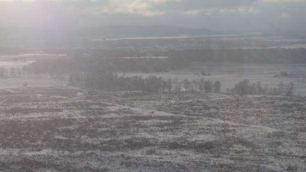 A neve cai na floresta e no campo. Vista aérea. Inverno nevado tempo — Vídeo de Stock