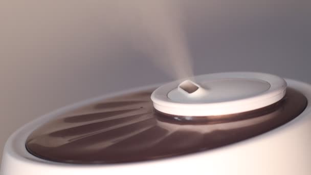 Vapor del humidificador ultrasónico para el hogar. Primer plano del vapor de agua — Vídeos de Stock