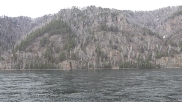 El río fluye a lo largo de la montaña. Río de montaña — Vídeos de Stock