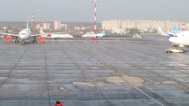 Az Azur Air légi jármű repülés előtti előkészítése a Vnukovo nemzetközi repülőtéren. Poggyászt felrakodó szolgálati járművek — Stock videók