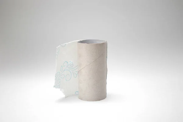 Empty Roll Toilet Paper Tissue Paper Roll Core — Stock Photo, Image