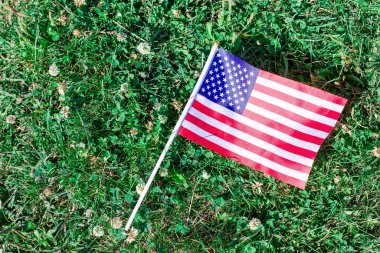 Tarlada küçük bir Amerikan bayrağı. Gaziler haraç veriyor.