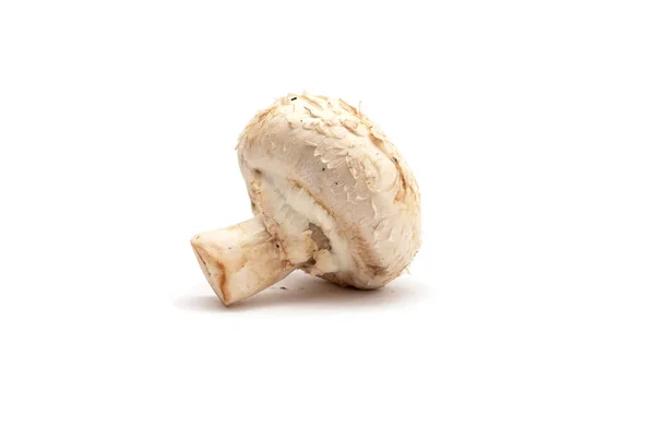 Ein Champignon Pilze Isoliert Auf Weißem Hintergrund — Stockfoto