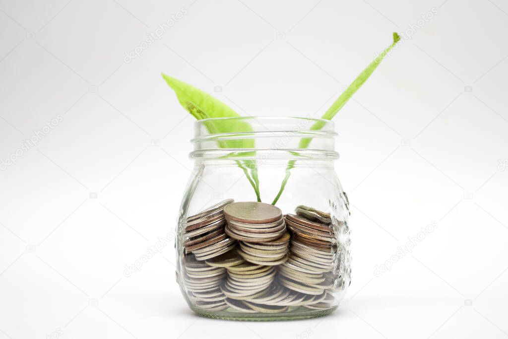 Growth concept plant growing from glass jar. Saving and Investment concept.