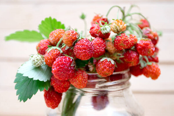 Fresh ripe strawberry branches in a jar.
