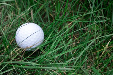 Golf oynamak için yeşil çimlerin üzerinde beyaz bir golf topu.