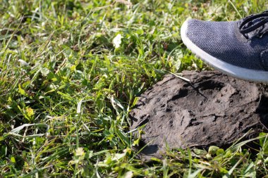 Spor ayakkabılı ayak inek bokuna basar..